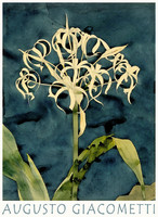 Orchidea etüd Augusto Giacometti 1898 festmény művészeti plakátja, botanika virág növény szecesszió