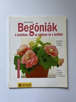 Begóniák a szobában, az erkélyen és a kertben