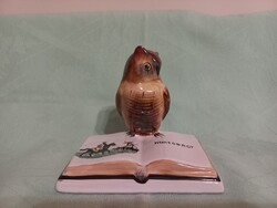 Bodrogkeresztúri bagoly nyitott könyvvel