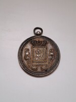 Krasznahorkai Andrássy család címere, gróf Andrássy Károly emlék érme, 3,2 cm, 13,45 gramm