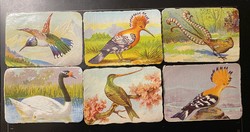 Franck Henrik gyűjthető állatos kártyák