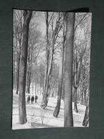 Képeslap,Galyatető,Téli erdő látkép,részlet, 1968-
