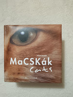 Adriano Bacchella: Macskák / CATS (magyar-angol)