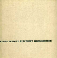 Understanding architecture - bruno zevi