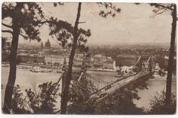BP - 142 Budapesti séta,  Kilátás a Gellért hegyről az Erzsébet-hídra 1932