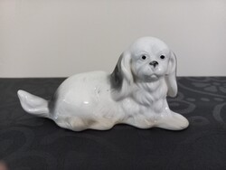 Német porcelán Lippersdorf pincsi kutya hibátlan