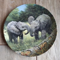 Csodás régi Davenport porcelán dísztányér (19,6 cm)