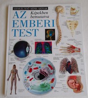Az emberi test képekben bemutatva (Szemléltető képes szótár) eladó!
