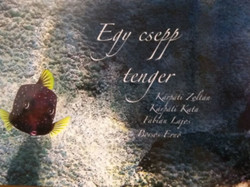 Egy csepp tenger - Kárpáti Zoltán, Kárpáti Kata, Fábián Lajos, Borsos Ernő