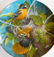 Angol porcelán madaras tányér (narancstrupiál) -  Encyclopaedia Britannica kollekció