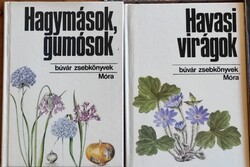 Búvár Zsebkönyv: Havasi virágok, Hagymások, gumósok