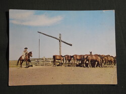Képeslap,Hortobágy,Csikósok,ménes,itató,gémeskút látkép,részlet, 1975-