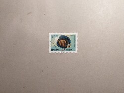 Magyarország - Akváriumi díszhalak 1962