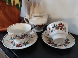 Ribizli mintás orosz / szovjet porcelán csésze kiöntő szettben eladó
