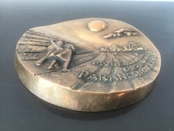 Bronz plakett 14cm.