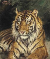Vastagh Géza Pihenő tigris portré olajfestmény reprodukció vászon nyomat vászonkép