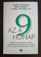 Az a 9 hónap
