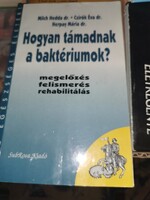 Hogyan támadnak a baktériumok? (8)