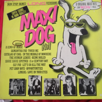 MAXI DOG NoI