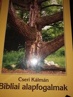 Cseri Kálmán: Bibliai alapfogalmak (8)