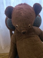 Döme Dömötör Maci vagyok, Mackó Teddy Bezár ahogy külföldön hívnak, medve Bean macika a testvérem