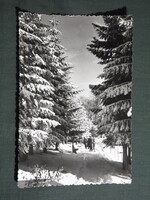 Képeslap,Kékestető,SZTK,SZOT gyógyintézet,üdülő,szálló,téli park látkép,részlet 1958-
