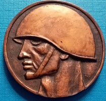Magyar Néphadsereg bronz érem Dobozában