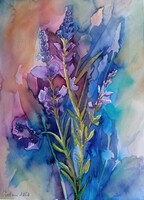 Csobai Elena Akvarell festmény, Levendula 22x30cm