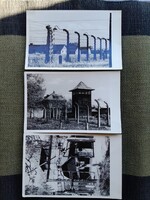 Auschwitzi koncentrációs tábor 3db fotólap