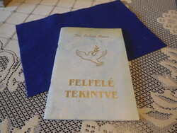 Felfelé tekintve  ,  Dr Orbán Ilona  1998