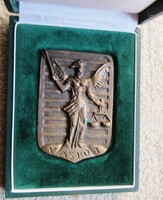Bronz plakett Vaskút   dobozában 1994 85 x 57  mm