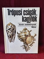 Búvár zsebkönyvek: Trópusi csigák, kagylók