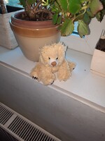 Plüss játék, Teddy maci,  Alkudható