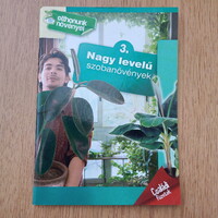 Nagy levelű szobanövények (otthonunk növényei)
