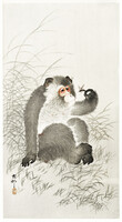 83*50 cm, nagy méretű régi, ázsiai, japán alkotás reprodukciója, vintage poszter, plakát, majom