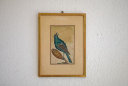 Madaras Litográfia, keretzve 1820 körüli, Vintage fali dekoráció