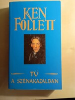 Ken Follet   Tű a szénakazalban