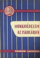 Munkavédelem az iskolában - Dr. Bori István