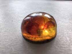 Holland Cent borostyánnal