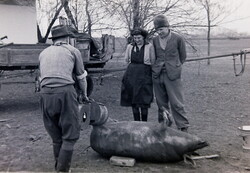Régi fotónegatívok, 10 db, egy falusi disznóvágás képekben 1950-es évek
