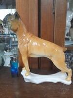 Német,Germany Volkstedt Karl ENS Nagy Méretű Boxer Kutya Porcelán Figura.21.5 cm