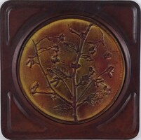 1U954 Mid century - Rózsa ág - keretezett bőrkép 30 x 30 cm