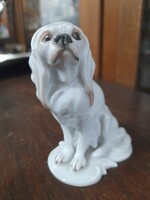 Alt Német,Germany Philipp Rosenthal 1919-1935  Cavalier King Charles Spániel Porcelán Figura.8.3 cm