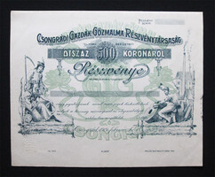 Csongrádi Gazdák Gőzmalma részvény 500 korona 1919 - Csongrád - gőzmalom