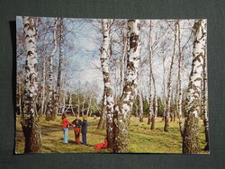 Képeslap,Mátra táj,hegység,erdő,Galyatető látkép,részlet,1978-