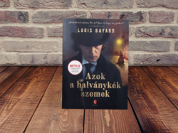 Louis Bayard - Azok a halványkék szemek