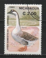 Állatok 0574 Nicaragua   1,00 Euró