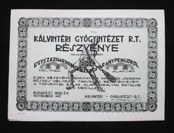 Kálvin téri Gyógyintézet Részvénytársaság részvény 132 aranypengő 1934 - Ráday utca 2.