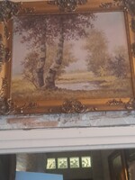 Veress Zoltan. Tajkep-60×50-kerettel.