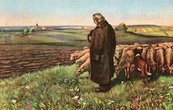 Képeslap: Tájkép, juhok. Stengel 29175.
